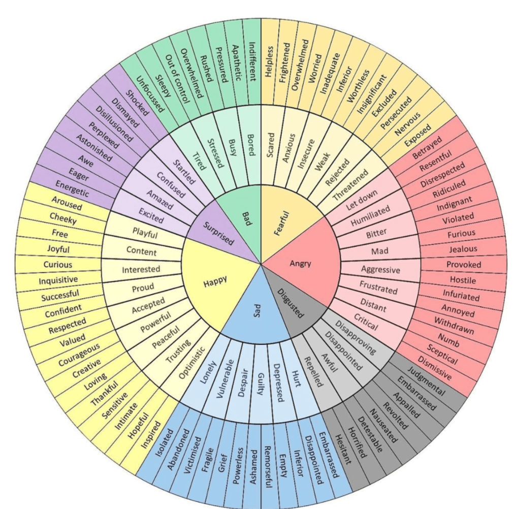 Emotions wheel showing various feelings